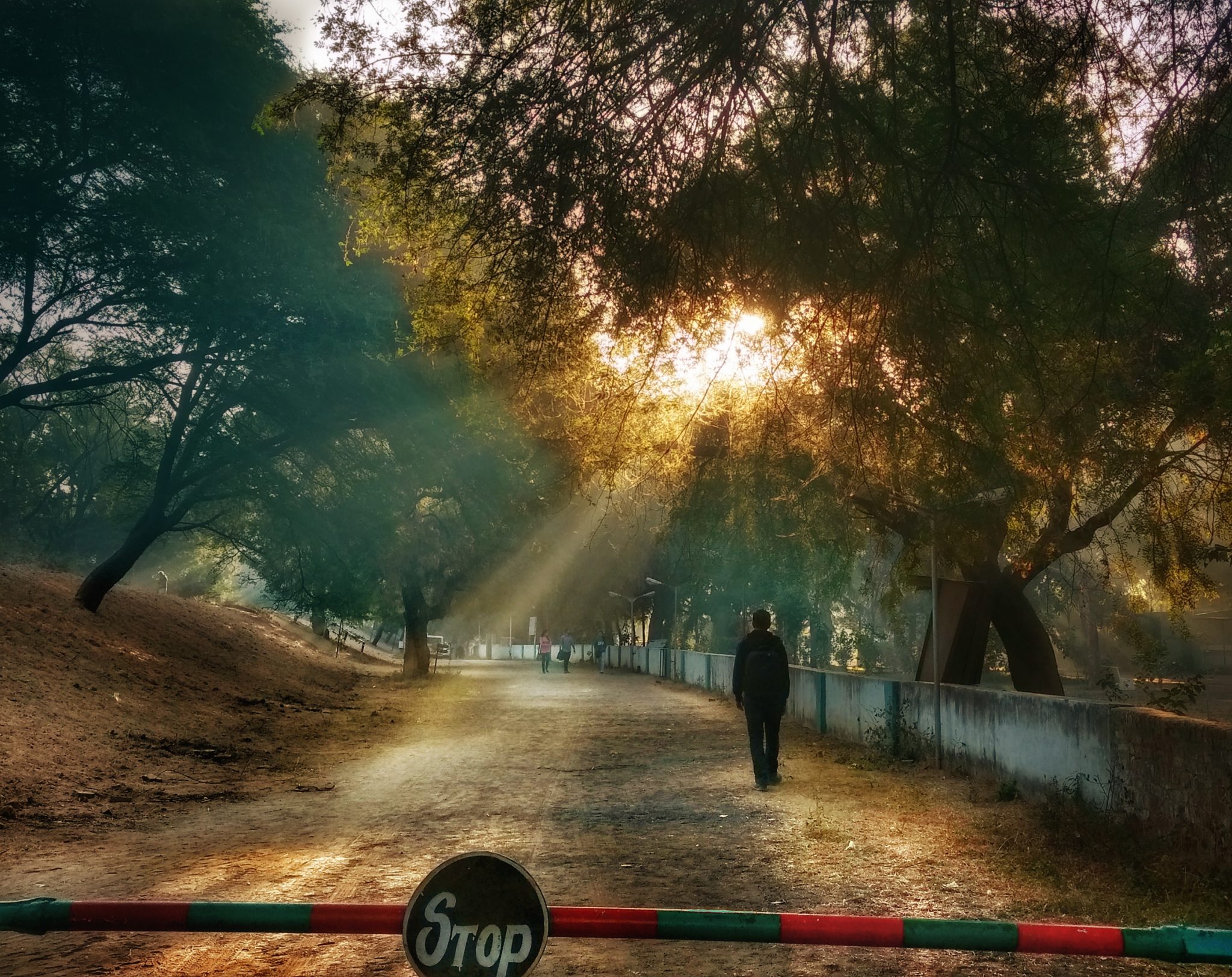 Download Bird Sanctuary Near Ahmedabad Gif